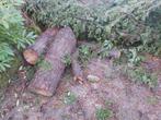 Stammen brandhout coniferen, Tuin en Terras, Brandhout, Ophalen, Stammen