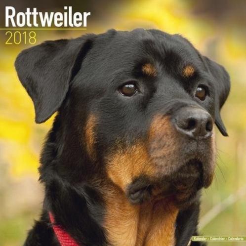 Calendrier Rottweiler 2018, Divers, Calendriers, Neuf, Calendrier annuel, Envoi