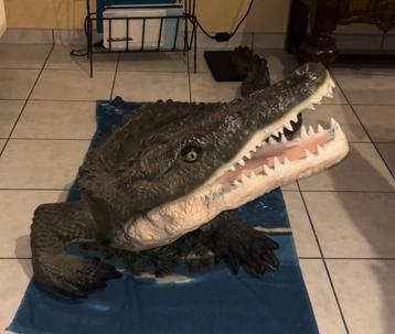 Krokodil te koop (kunststof) beschikbaar voor biedingen