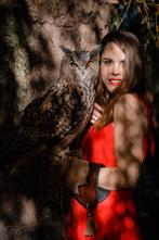 🦉 Shooting photo avec rapace – Expérience nature, Enlèvement, Neuf