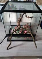 Terrarium 45x45x45 cm, Ophalen, Zo goed als nieuw