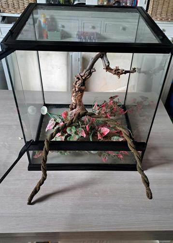 Terrarium 45x45x45 cm, Enlèvement, Comme neuf
