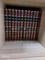 Collection édition limitee tintin, Boeken, Encyclopedieën, Ophalen of Verzenden, Zo goed als nieuw