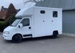 Fiat Ducato 18 2.3 d Paardenwagen rijbewijs B 2005, Auto's, Voorwielaandrijving, Stof, Bedrijf, Handgeschakeld