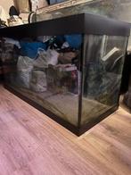 aguarium 120/67/52, Ophalen of Verzenden, Zo goed als nieuw
