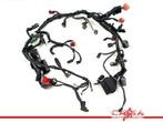 FAISCEAU DE CÂBLAGE DIVERS CBR 500 R 2016-2017 (CBR500R), Motos, Utilisé