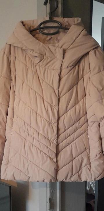 Veste dame très jolie neuve taille L à saisir ️️️↙️ beschikbaar voor biedingen