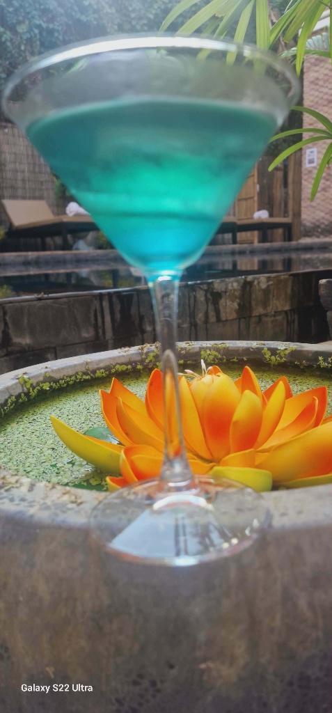 HOTEL - BAR - RESTAURANT - MASSAGES, Immo, Expat Rentals, Woning met bedrijfsruimte, A++++