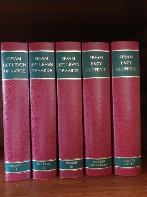 Sesam encyclopedie, Boeken, Encyclopedieën, Zo goed als nieuw, Algemeen, Ophalen