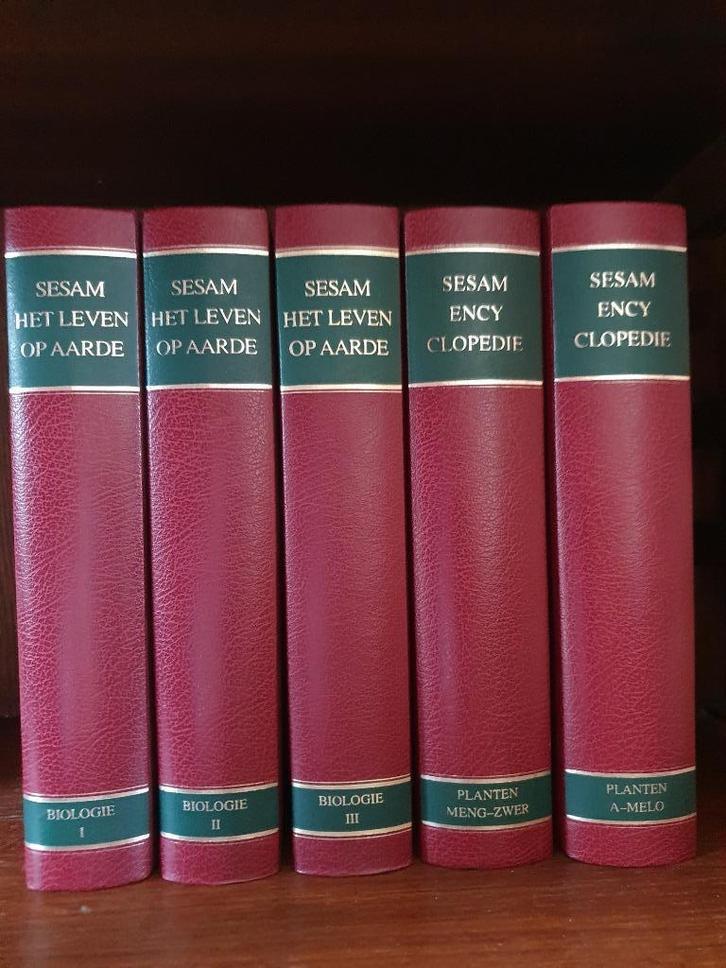 Sesam encyclopedie, Boeken, Encyclopedieën, Zo goed als nieuw, Algemeen, Ophalen
