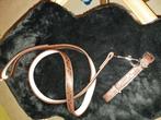 Halsband + leiband/riem, Dieren en Toebehoren, Ophalen of Verzenden, Nieuw