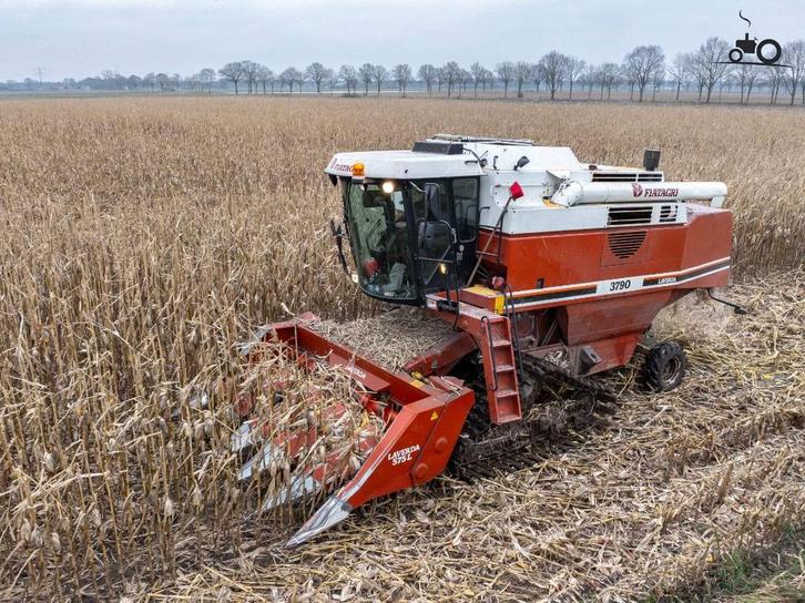 Cueilleur d'épis à 4 ou 6 rangs recherché, Articles professionnels, Agriculture | Pommes de terre, Légumes, Fruits & Viande, Enlèvement