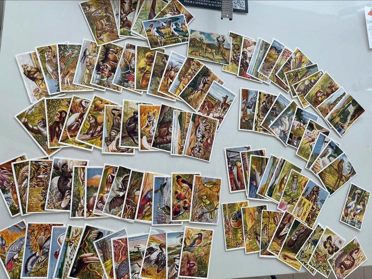 Lot 94   de Afrikaanse Fauna  Uitgegeven Van Tieghem Dupond, Hobby en Vrije tijd, Stickers en Plaatjes, Ophalen of Verzenden