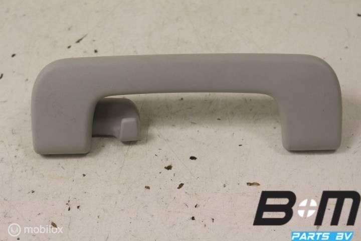 Handgreep in hemel RA Audi A6 4F Sedan 8P0857608F, Auto-onderdelen, Interieur en Bekleding, Gebruikt