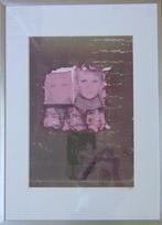 POL MARA / ETOILEES / KLEURZEEFDRUK / 101x73cm / KADER / SIG, Antiek en Kunst, Ophalen
