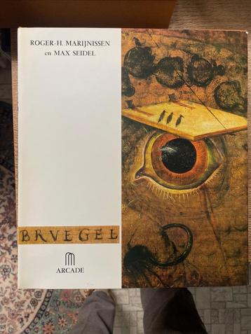 Livre BRUEGEL Arcade, Arcade, Peinture et dessin, Enlèvement ou Envoi, Utilisé