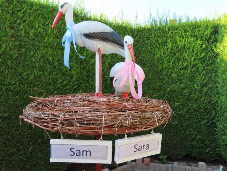 Geboorte ooievaars met bl en roze strik op echt nest te huur, Kinderen en Baby's, Kraamcadeaus en Geboorteborden, Nieuw, Geboortebord