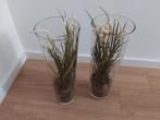 2 grote vazen met kunstplanten, Enlèvement