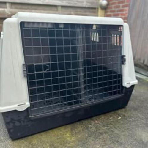 Bench voor 1 of 2 honden, Dieren en Toebehoren, Hondenbenches, Gebruikt, Ophalen