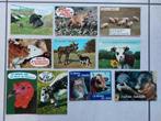 10 humorkaarten met dieren, Collections, Cartes postales | Animaux, Envoi