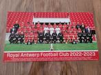 Royal Antwerp  FC pooster groepsfoto, Nieuw, Ophalen of Verzenden, Poster, Plaatje of Sticker