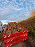 Brandhout stammen  Italiaanse populier., Tuin en Terras, Brandhout, Ophalen of Verzenden, Stammen