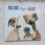 Kader glas Engelse bulldog, Huis en Inrichting, Ophalen of Verzenden, Zo goed als nieuw