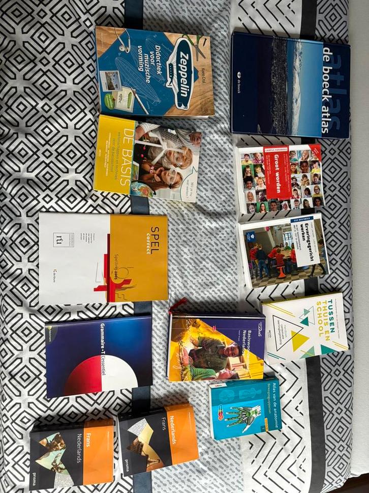 Les livres peuvent également être vendus séparément, Livres, Livres scolaires, Comme neuf, Autres niveaux, Enlèvement ou Envoi