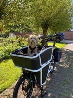 cargo bike urban arrow, Goederen, Ophalen, Overige merken, Nieuw