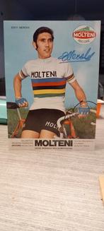Grande Carte Postale dédicacée Eddy Merckx Cyclisme, Collections, Enlèvement ou Envoi