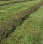 Eerste kwaliteit voordroog, Zakelijke goederen, Landbouw | Veevoer, Ophalen