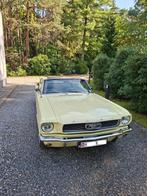Ceremoniewagen Ford Mustang Cabrio 1966, Met chauffeur, Personenauto