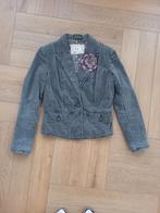 Pepe Jeans, velours vest, Vêtements | Femmes, Vestes & Costumes, Taille 38/40 (M), Gris, Comme neuf, Enlèvement