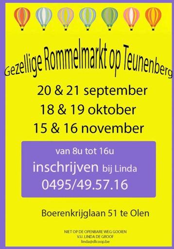 Maandelijkse rommelmarkt Olen 20 en 21 september beschikbaar voor biedingen