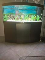 Juwel 450l aquarium te koop, Dieren en Toebehoren, Vissen | Aquaria en Toebehoren, Ophalen, Zo goed als nieuw