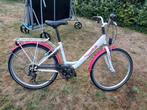 Golden lion meisjes fiets, Fietsen en Brommers, Ophalen, Gebruikt, Golden Lion, Versnellingen