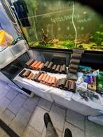 Nieuwe ongebruikte legholen, Dieren en Toebehoren, Vissen | Aquaria en Toebehoren, Ophalen
