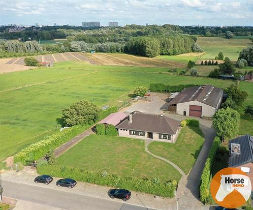 Huis te koop in Dilbeek, 4 slpks, Immo, Huizen en Appartementen te koop, Vrijstaande woning, D