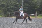 Te koop aangeboden: knappe Spaanse merrie*, Merrie, M