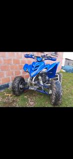 Yamaha raptor 350cc, Motoren