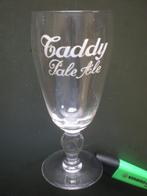 Taddy Pale Ale, Collections, Marques de bière, Comme neuf, Enlèvement ou Envoi, Verre ou Verres