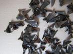 Sublime : lot de dents de requins de la Mer du Nord, Collections, Minéraux & Fossiles, Fossile, Envoi