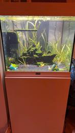 Aquatlantis Tower 120 + meubel, Dieren en Toebehoren, Ophalen, Zo goed als nieuw, Leeg aquarium