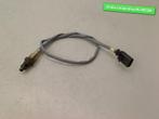 SONDE LAMBDA Volkswagen Golf VII (AUA) (06K906262S), Utilisé, Volkswagen