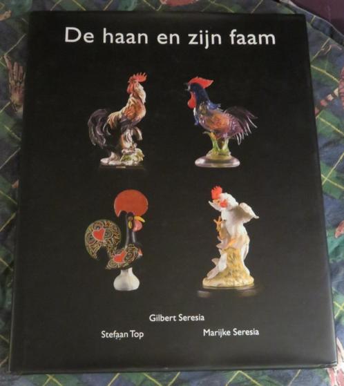 Boek: De Haan en zijn Faam, Boeken, Kunst en Cultuur | Beeldend, Zo goed als nieuw, Overige onderwerpen, Ophalen of Verzenden