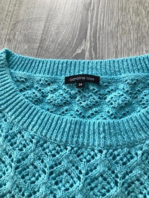 Caroline Biss pul splinternieuw, Kleding | Dames, Truien en Vesten, Nieuw, Maat 36 (S), Blauw, Ophalen of Verzenden