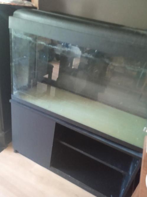 Aquarium met kast, Dieren en Toebehoren, Vissen | Aquaria en Toebehoren, Gebruikt, Ophalen