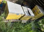 Bijenkasten met hoogsels en ramen, Dieren en Toebehoren, Bijen