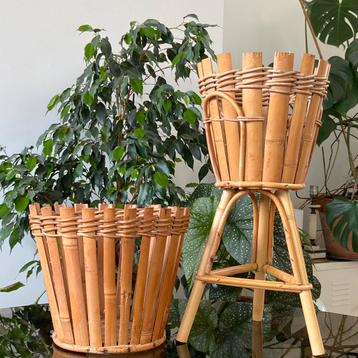 2 plantenpotten van bamboe en rotan - Vintage - 60' - Sixtie