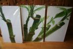 Wanddecoratie 3-luik bamboo 160X90 XXL, Huis en Inrichting, Ophalen of Verzenden